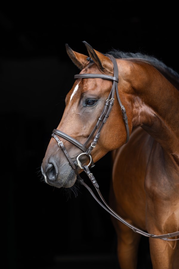 Kerbl Trensenzaum Standard