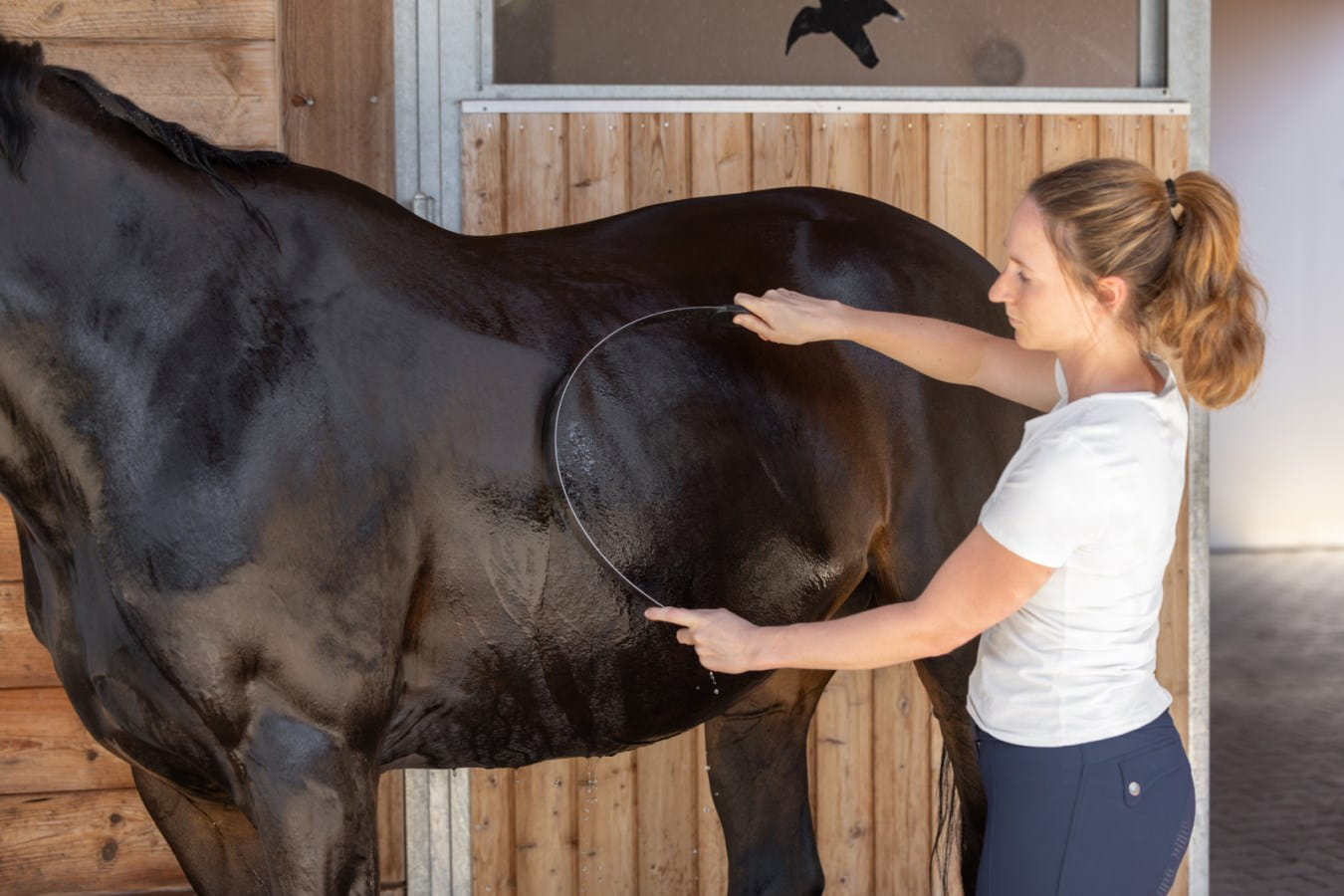 Schweißmesser gerade - für Pferde