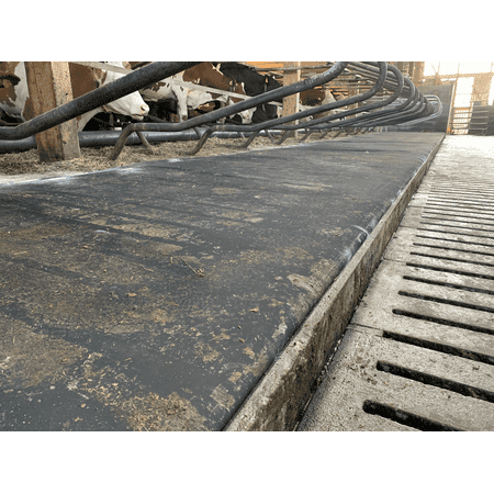 Patura Kuhmatratze Latex Meterware - 1,60m