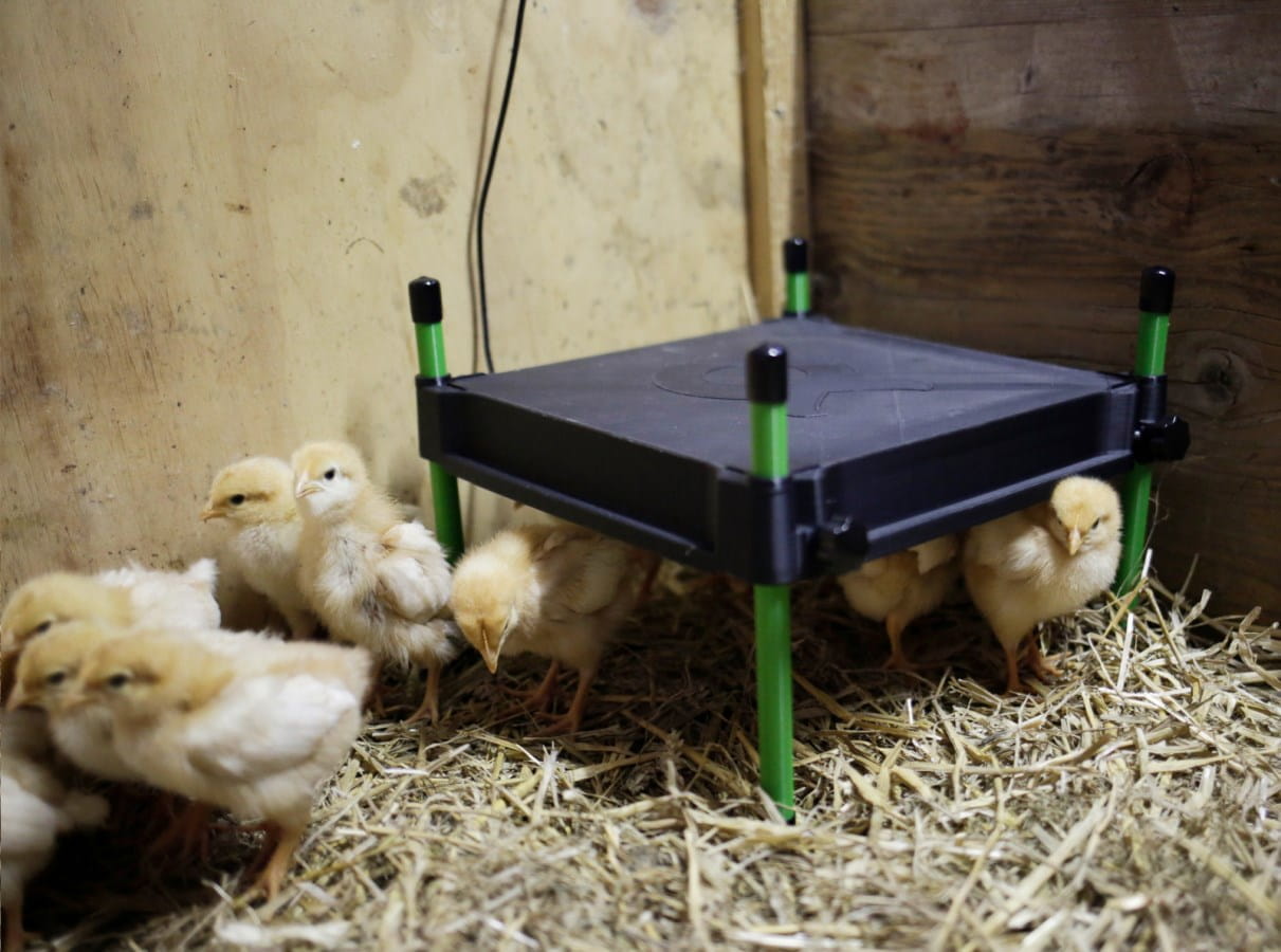 Kerbl Wärmeunterstand für Küken - 40cm x 50cm / 50W