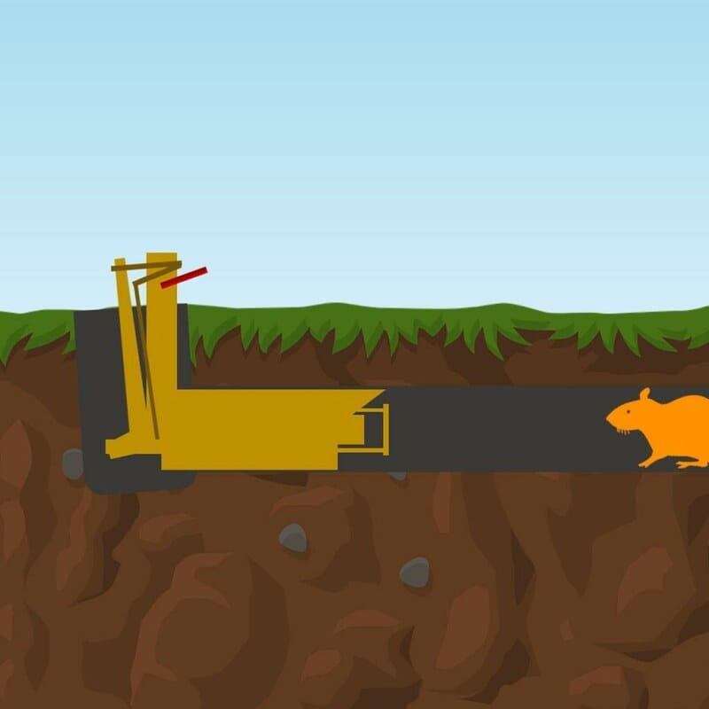 Wühlmausschussfalle »Classic« – effektive Wühlmausfalle zur schnellen Wühlmausbekämpfung