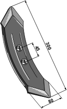 BL2436 Schwergrubberschar Kongskilde 101.KON-02