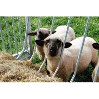 Patura Viereckraufe Schafe / Ziegen - mit Dach