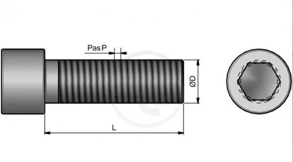 AC Zylinderschraube 14x45 - BTCHC1680