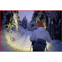KS Tools perfectLight Kopflampe mit Bewegungssensor - 120 Lumen