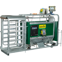 Patura 3 Wege-Wiege und Sortierbox mit Druckluftbetrieb - für Schafe