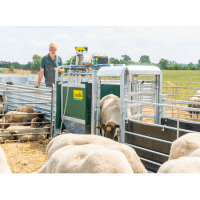 Patura 3 Wege-Wiege und Sortierbox mit Druckluftbetrieb - für Schafe