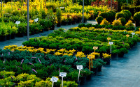 Bodengewebe Zill florinotex®