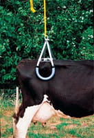 Vink Kuhtakel (Hebegerät für Kühe)