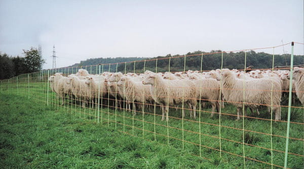 Wolfsnetz mit Wildverbissschutz 50m / 2 Spitzen / 106cm