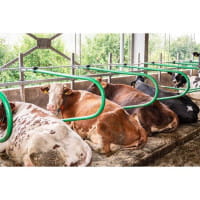 Patura flexibler Liegeboxenbügel - PRIMA