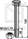 Schraube mit Sicherungsmutter - M12 - 8.8