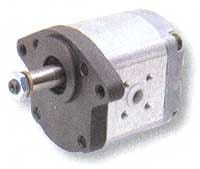 Hydraulikpumpe - passend zu Case 155700750005 / R918C01482
