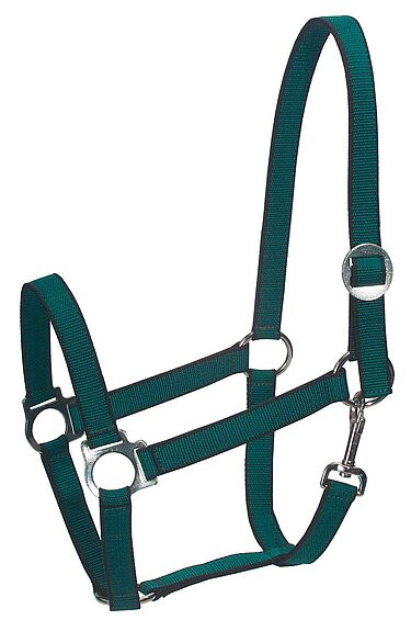 Nylon-Halfter gepolstert für Warmblut Gr. 3