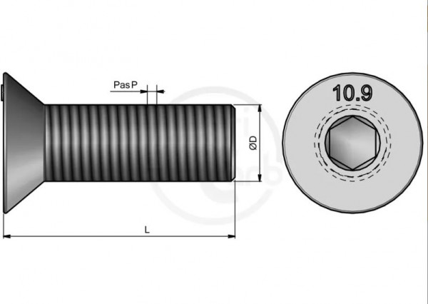 AC Schraube + Mutter THC 20x120 - BTFHC20120