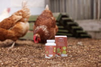Ergänzungsfuttermittel IdaPlus® ProBiotic - 180g Ergänzungsfuttermittel IdaPlus® ProBiotic - 180g