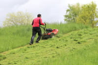 Trommelmäher Vari BDR-720D Adela Pro mit Honda GCVx200 Motor