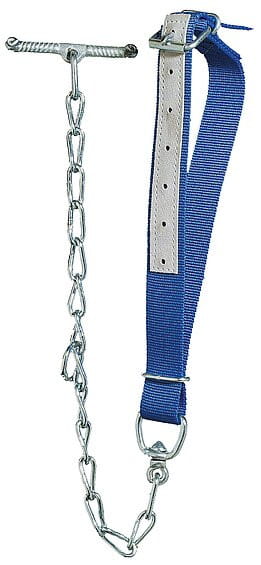 Kälberhalsband blau mit Kette