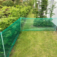 Absperrzaun »Deluxe« Universalnetz, stromlos - 20m / 80cm