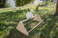 Holz Sitzstange für Hühner - 56 x 40 x 25cm