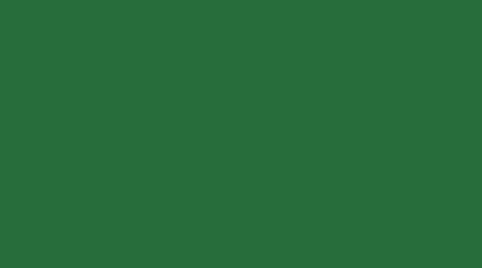 Lack RAL 6001 smaragdgrün - 10l