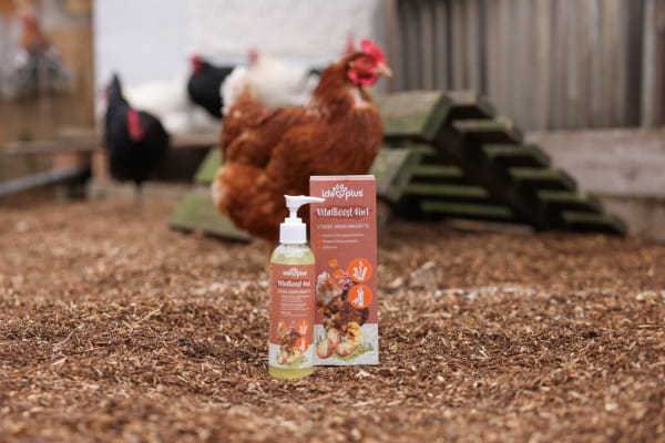 Ergänzungsfuttermittel IdaPlus® Vitaminkonzentrat VitalBoost 4in1