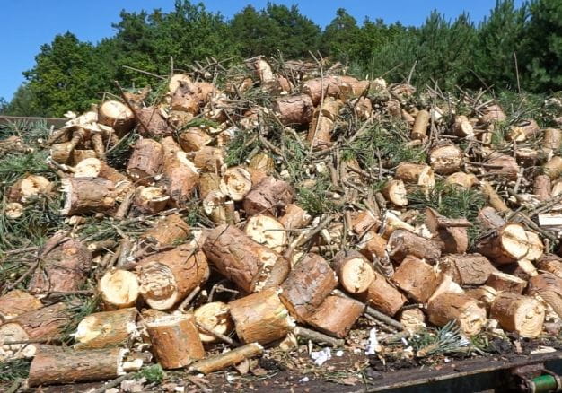 Remet CNC Holzhacker R120 Zapfwelle mit 2,3m Förderband | Profi ...